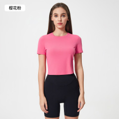 Sakura Pink (NEW)