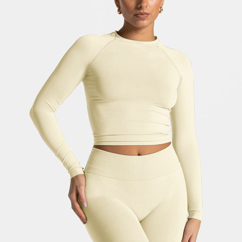 Cross-border European and American slim high waist hip lift round neck long sleeve tight seamless sports fitness outdoor yoga suit women's suit