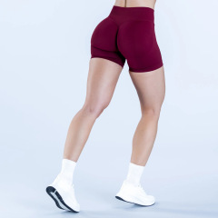 RY-3003-DK  Nylon High-elastic Yoga Shorts