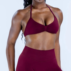 RY-3003-WX   Seamless Yoga Halter Neck Bra