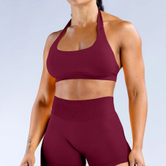RY-3003-WX   Halter Neck Sports Bra