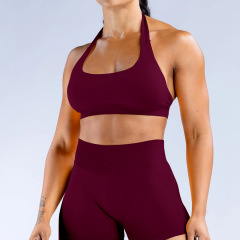 RXW-3003-WX   Backless Shockproof Yoga Bra
