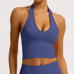 Amber Purple Halter Bra