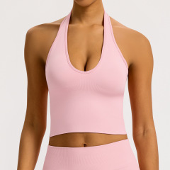 Peach Pink Halter Bra