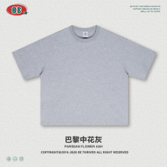 Paris medium gray