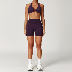 8503 bra + 7655 shorts -- plum purple