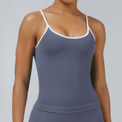 Ice Gray