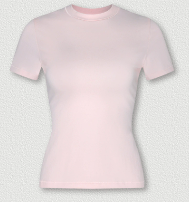 ZSTH-N2753-DX Women's Fit Short Sleeve T-Shirt Casual Sports