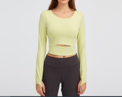 Algae yellow