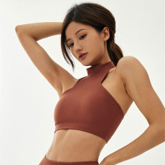 Maple Brown Zipper Bra