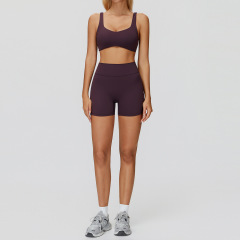 9506 bra + 9506 shorts—prune purple