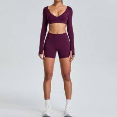 Purple-red (long-sleeved shirt + shorts)