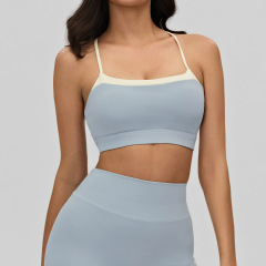 Shell Blue