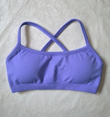 Indigo bra