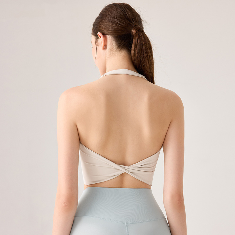 New N66 Lycra Slim Yoga Wear U-Neck Halter Neck Beautiful Back Sports Bra Seamless Push-Up Sling Free Bra
