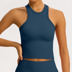 Blue vest