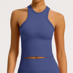 Glazed purple vest
