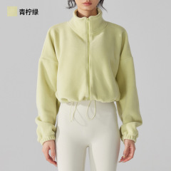 Lime greenlime green