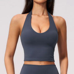 ZC-FBX5529-1- BX    Halter Beautiful Back Sports Intimates