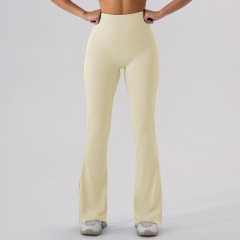 Oatmeal Apricot