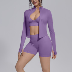 Misty Purple