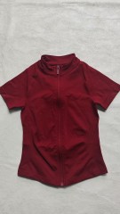 Winterberry color