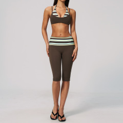 brown stripes
