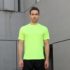 P11-3 fluorescent green
