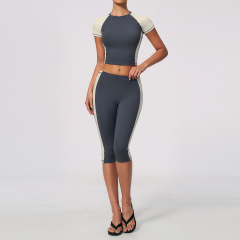 pencil gray