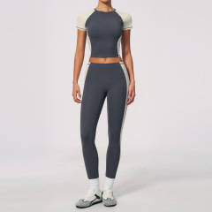 pencil gray