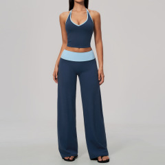 a striking clash of light blue and dark blue
