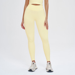 Moonbeam Yellow