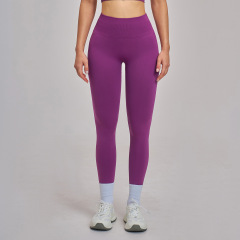 Blackberry Violet