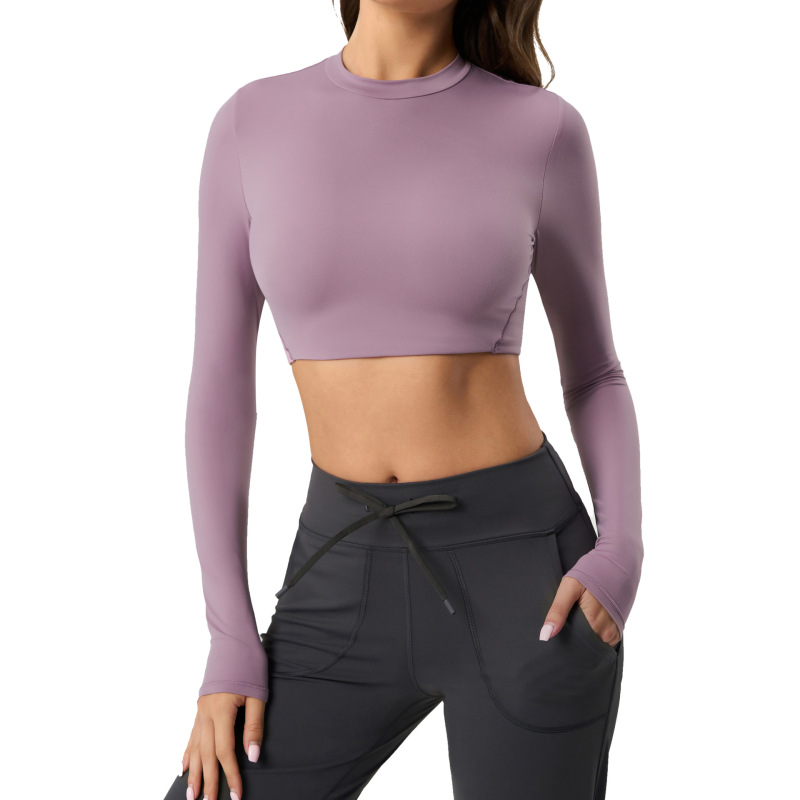 Women's Yoga Outfit, Tight-fitting, Unpadded Long-sleeved Sports T-shirt, Fitness Wear, Cropped Top with Showing Off Abs (DAW173)