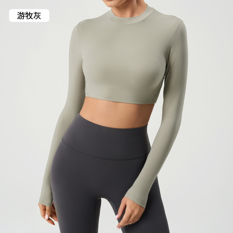 Women's Yoga Outfit, Tight-fitting, Unpadded Long-sleeved Sports T-shirt, Fitness Wear, Cropped Top with Showing Off Abs (DAW173)