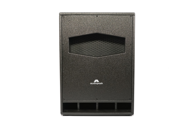 Dan-118P passive subwoofer speakers