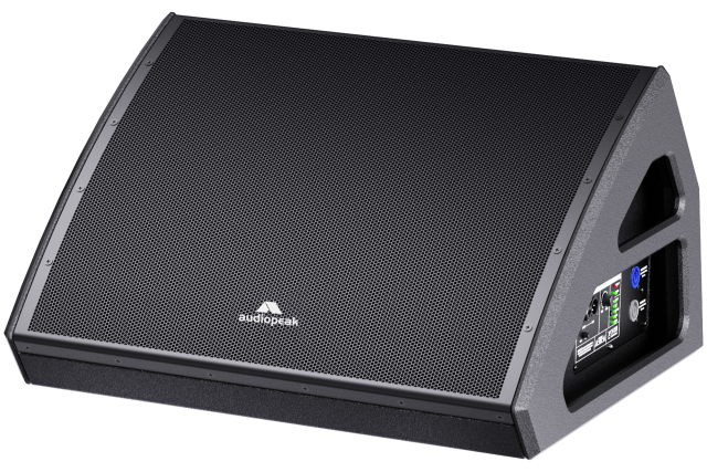 Mani-115A Stage Monitor loudspeaker