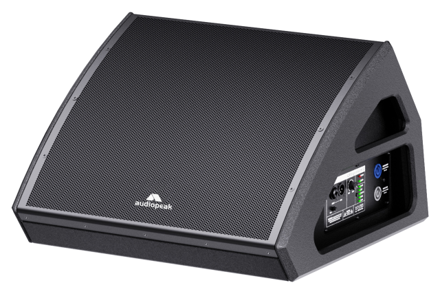 Mani -112A Stage Monitor loudspeaker