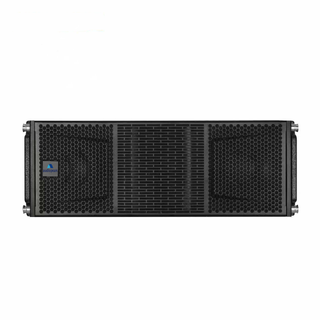 Audiopeak AM Series Passive Line Array System with AM-210&BE828Subwoofer