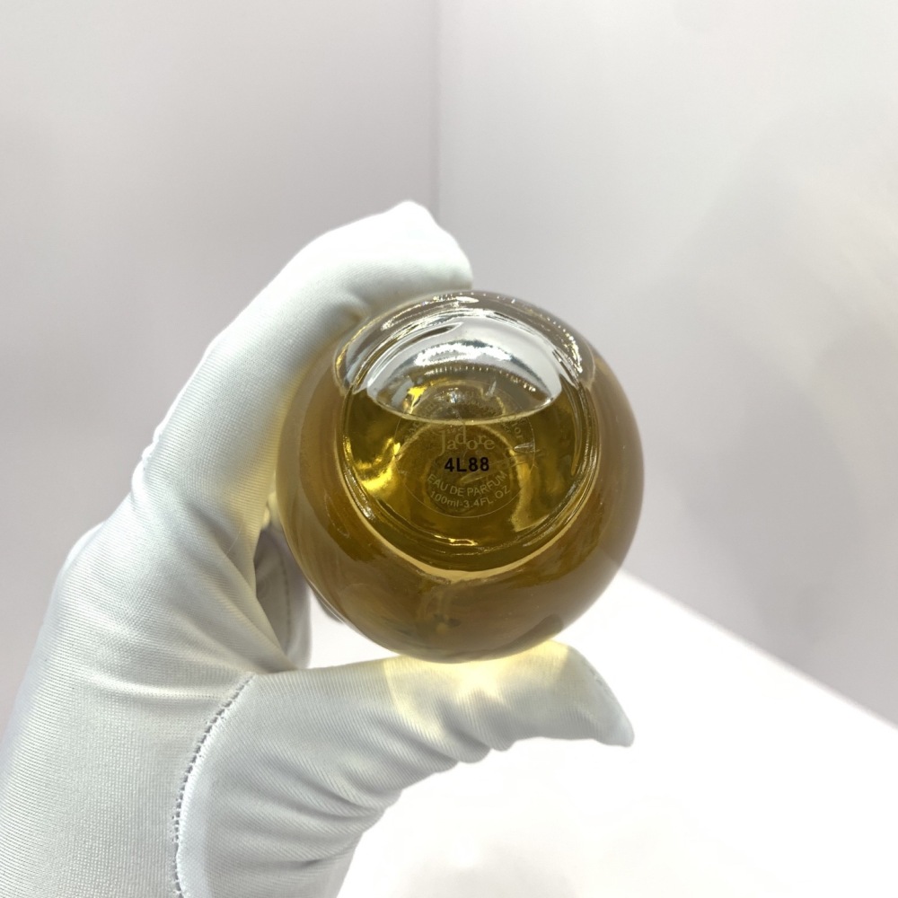 Dior Jadore EAU DE PARFUM perfume 100ML