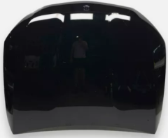bonnet-X254-2542210900