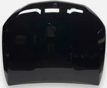bonnet-X254-2542210900