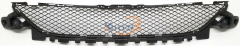 front bumper net o/m AMG-205-2058852123