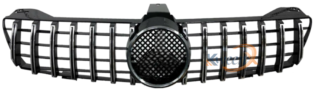 GT grille 2005-219