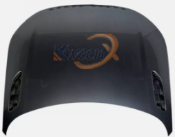 bonnet-L560-LR091710