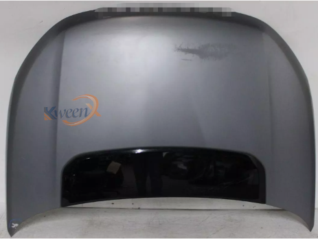 bonnet-L550-LR061279