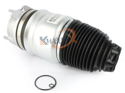 front air suspension spring-958-95834305113/213