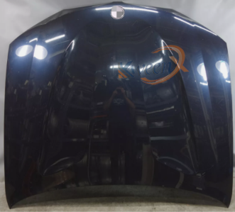 bonnet-F26-41617267337