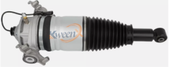 rear air suspension strut-958-95535801900/2000