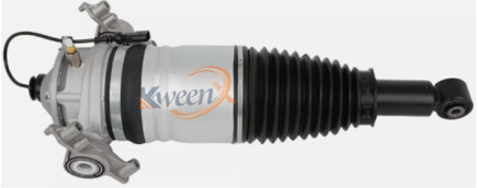 rear air suspension strut-958-95535801900/2000